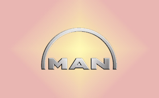 ✓ MAN 81.77950.0038 Запчасти МАН (MAN) 