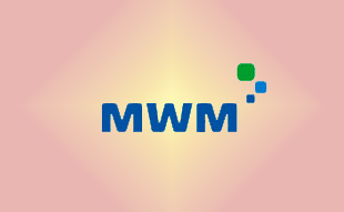 ✓ MWM 0403 3842 Запчасть MWM 